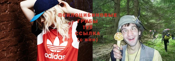 2c-b Бугульма